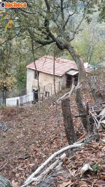 Casa Singola a Altagnana