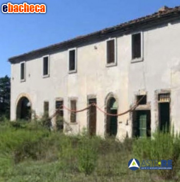 Azienda Agricola in..