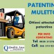 Patentino Muletto