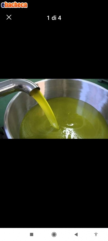 Anteprima Olio d'oliva extravergine