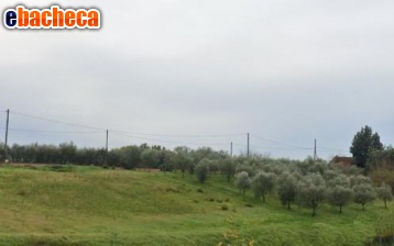 Anteprima Agricolo a Lamporecchio