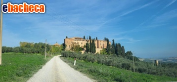 Anteprima Castello a Montalcino
