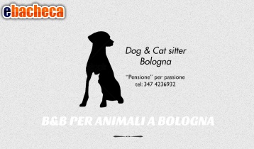 Anteprima Dog & cat sitter Bologna