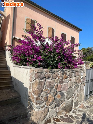 Anteprima Villa Capraia Isola
