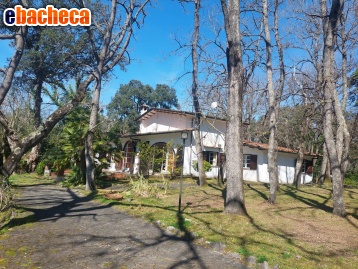 Anteprima Villa a Sabaudia di 280…