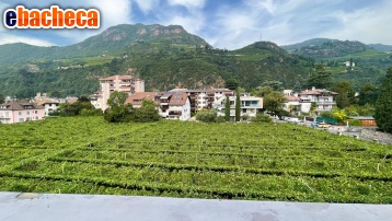 Anteprima App. a Bolzano - Bozen…