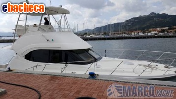 Anteprima Riviera 38 t- top fly