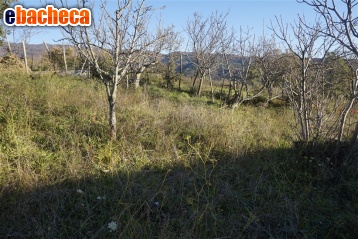 terreno edificabile in vendita a Casali del Manco in zona Serra Pedace