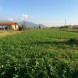 Miniatura Terreno Agricolo a Pisa… 1