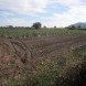 Agricolo a San Lazzaro