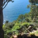 Miniatura Capri ( marina grande )… 1