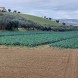 Terreno Agricolo a Alba…
