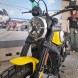 Miniatura Ducati - Scrambler 800 2