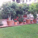 Miniatura Giardini-Naxos 2