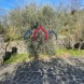 Miniatura Villa a Borgo a Mozzano… 4
