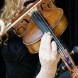 Violinista Novi Ligure