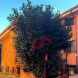 Miniatura Villa a Benevento di 220… 2