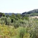 Miniatura Orvieto terreno agricolo… 2