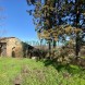 Miniatura Casale a San Gimignano… 2