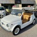 Fiat 500 spiaggina jolly…