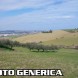 Agricolo a Tirrenia