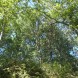 Miniatura Marzano Appio terreno… 2